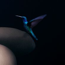 Azul. Un proyecto de Fotografía y Retoque fotográfico de Sonia Balduque Soto - 27.09.2017