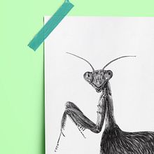 ILUSTRACION // GALLANTIS . Un proyecto de Bellas Artes, Diseño, Ilustración tradicional y Pintura de Grethel Balladares - 30.09.2017