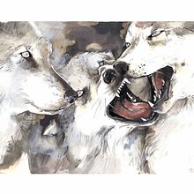 WILD. Un projet de Beaux Arts, Illustration traditionnelle , et Peinture de Sara Bellés - 02.10.2017
