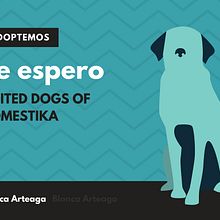 Un Quizz de cuatro patas . % Blanca Arteaga tarafından hazırlanan Metin, azarlığı, Sos, al Med, Ve a projesi - 10.03.2017