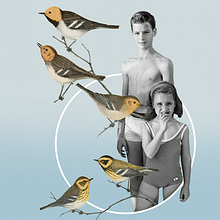 Momento. Fine Arts, Collage, and Design project by Marcos Martínez - 10.03.2017