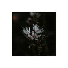 Mi Proyecto del curso: Revelado de archivos RAW con Lightroom. Photograph project by David Tudela - 04.16.2018
