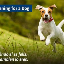 Proyecto / Javier Aleman / Domestika . Desain proyek oleh Javier Alemán - 10.10.2017