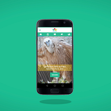 Zoo App. Animation project by Rodrigo Vigo - 08.10.2017