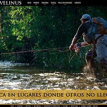 Diseño web Salvelinus. Web Design, e UX / UI projeto de Sara Serrano - 01.08.2013