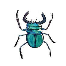 Insectos. Un proyecto de Bellas Artes, Diseño de personajes, Ilustración tradicional y Pintura de Fabrizio Bottasso - 13.10.2017
