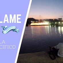 HÁBLAME GUAYAQUIL"‼️. Motion Graphics, Multimedia, and Video project by Juan Miguel Morocho - 10.16.2017