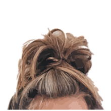 TIM. Ladelmoño . Penulisan naskah proyek oleh Tamara Iban Mora - 10.16.2017