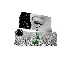 Ecocidio. Un progetto di Collage di Sonia Otero - 16.10.2017