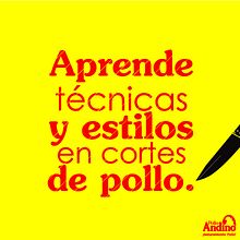 POLLO ANDINO - DISEÑO - MARKETING. Graphic Design project by Julian CastiBa - 05.02.2017