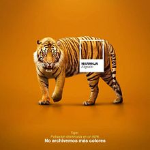 No Archivemos más colores. Design, Graphic Design, Photograph, and Photo Retouching project by Junior Pabon - 10.18.2017