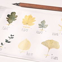 Inktober 2017 (textos de Susana Torralbo). Ilustração tradicional projeto de Ana Velandia - 01.10.2017