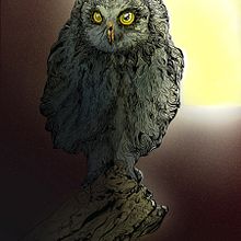 Full Moon. Een project van Traditionele illustratie van Alan Alfaro Dávalos - 23.05.2015