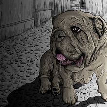 Bulldog. Een project van Traditionele illustratie y Vectorillustratie van Alan Alfaro Dávalos - 12.05.2016