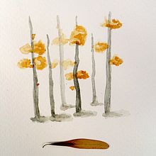 Acuarelas. Painting project by sarah rodríguez iglesias - 10.20.2017