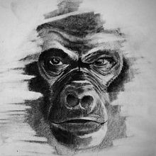 Gorila. Un projet de Illustration traditionnelle de Alberto Martinez Romero - 22.10.2017