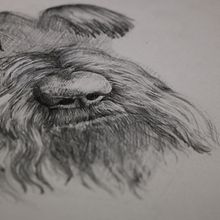 Perro. Un projet de Illustration traditionnelle de Alberto Martinez Romero - 22.10.2017
