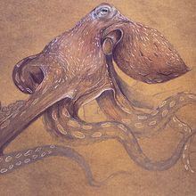Bestiario ilustrado. Fine Arts, Editorial Design, and Traditional illustration project by Elisa Ancori - 10.24.2017