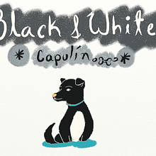 Blanco y Negro (Libro Ilustrado) 12 Ilustraciones Ein Projekt aus dem Bereich Comic, Verlagsdesign und Traditionelle Illustration von Blossom Juliet - 23.04.2017