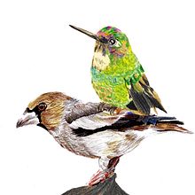 animales. Projekt z dziedziny  Sztuki piękne użytkownika ignacio cruz - 25.10.2017