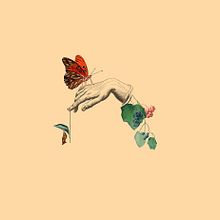 Insectos - Collage. Traditional illustration project by Coral Medrano - 10.26.2017