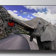 taxi. Un progetto di Design di roxanne stvz - 27.10.2017