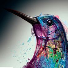 HUMMINGBIRD. Un proyecto de Ilustración tradicional de Fernando Cásares - 31.10.2017