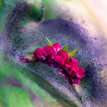 Miradas, Instalacion en. Un progetto di Artigianato, Belle arti, Fotografia e Pittura di Juan Florenciañez - 01.11.2017