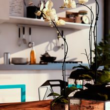 Las Flores. Un progetto di Architettura d'interni di Alejandro Baca - 24.02.2017