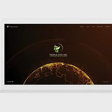 Web Triple Eye. Un progetto di Direzione artistica, Design interattivo e Web design di Israel Soliz - 06.11.2017