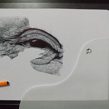 ¡La mirada! - Dibujo con pluma Bic. Trabajo en proceso, implementando mucho detalle   . Un progetto di Belle arti di Juan Diego González - 05.11.2017