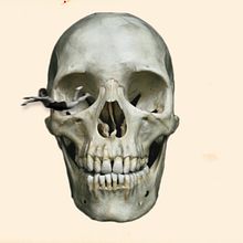 Nada es eterno menos lo efímero. Een project van Collage,  Art direction y  Video van Susana Martin Somoza - 08.11.2017