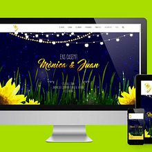 Web Boda Moni&Juan. Web Development, and Web Design project by Elena López - 09.08.2017