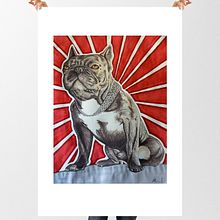 Toro  ilustración tradicional. Un proyecto de Ilustración tradicional de Paco Muriel - 09.11.2017