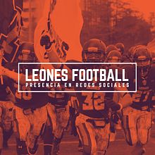 Leones Football - Presencia en Redes Sociales. Un proyecto de Cop, writing, Diseño, Marketing y Redes Sociales de Martín Hernández - 30.12.2016