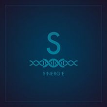 Sinergie.. Br, ing, Identit, Art Direction, and Graphic Design project by Francisco Cacenaves - 11.14.2017