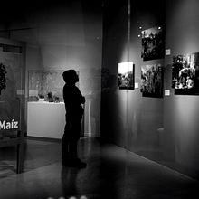 De museo. Photograph project by Alethia Gasca - 11.16.2017