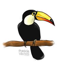 Ilustración Tucán. Traditional illustration project by Patricia Vilches - 11.15.2017