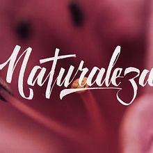 Lettering Naturaleza. Lettering project by Stanley Garcia - 11.16.2017