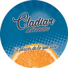 CLADIAR. Graphic Design project by Carlos Vicente Aparici - 11.18.2017