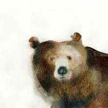 Animales . Un progetto di Illustrazione tradizionale di Sol Rodriguez - 18.11.2017
