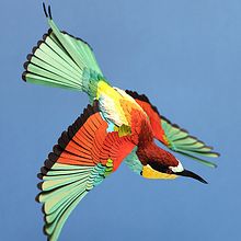European bee eater . Un progetto di Papercraft di Diana Beltran Herrera - 21.11.2017