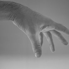 Manos de Lotus . % Facundo Avoscan tarafından hazırlanan Animas, Ve on projesi - 11.22.2017