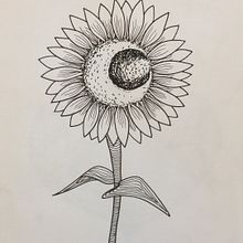 Zurdilínea . % Sil Rodri tarafından hazırlanan Geleneksel illüstras, Ve on projesi - 11.25.2017