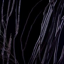 Otras miradas. Een project van  Beeldende kunst y Fotografie van Jony Sanchez Avila - 28.11.2015