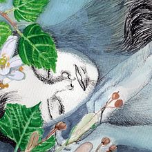 Proyecto Editorial Herbolario Ilustrado 2017. Un progetto di Illustrazione tradizionale di Priscilla Carrera Murray - 29.11.2017