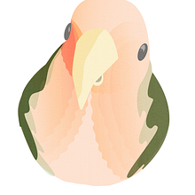 The Bird. Un progetto di Illustrazione tradizionale di Lasma Pakne - 22.11.2017