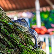 Nature. Un progetto di Fotografia di Moi Montaño - 30.11.2017