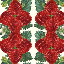 Creando Patrones con Frutillas. Projekt z dziedziny Design, Trad, c i jna ilustracja użytkownika Priscilla Carrera Murray - 30.11.2017