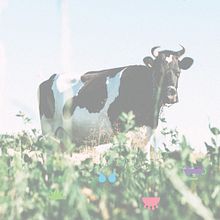 a_MILK_por_hora. Een project van Packaging van César García Piñeiro - 30.11.2017